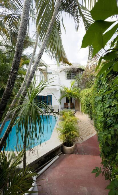 Casa De Aves Relax And Breath